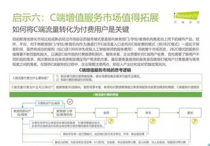 2019年中國(guó)教育信息化行業(yè)報(bào)告 信息技術(shù)咨詢服務(wù)